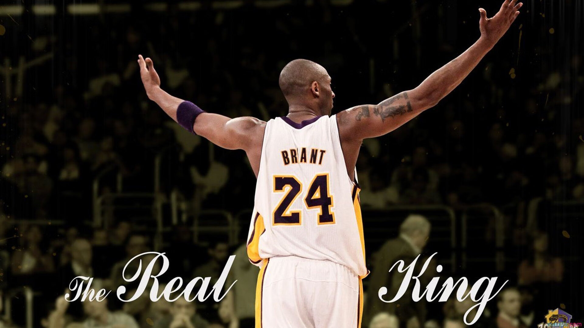 NBA这一天里程碑!基迪致敬乔丹,库里超越老佩顿,北丐超越大O,nba基德资料